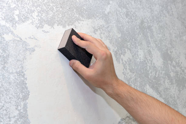 Best Dehumidification Services  in Cumberland, MD