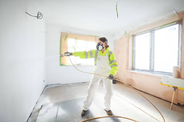 Best Mold Damage Restoration  in Cumberland, MD