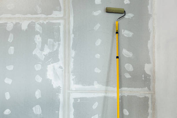 Best Attic Mold Removal  in Cumberland, MD