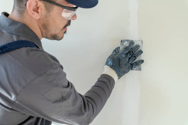 Best Mold Removal for HVAC Installations  in Cumberland, MD